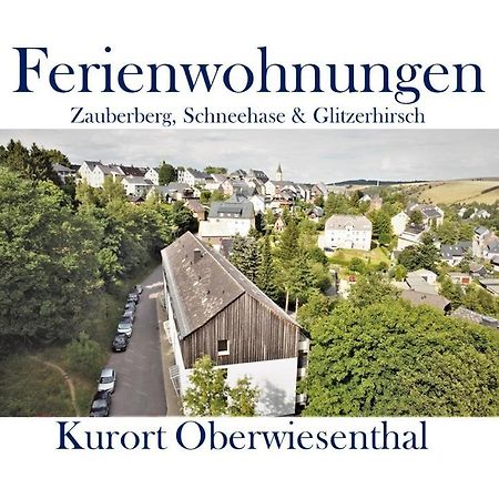 Ferienwohnungen Zauberberg, Schneehase & Glitzerhirsch Oberwiesenthal Buitenkant foto
